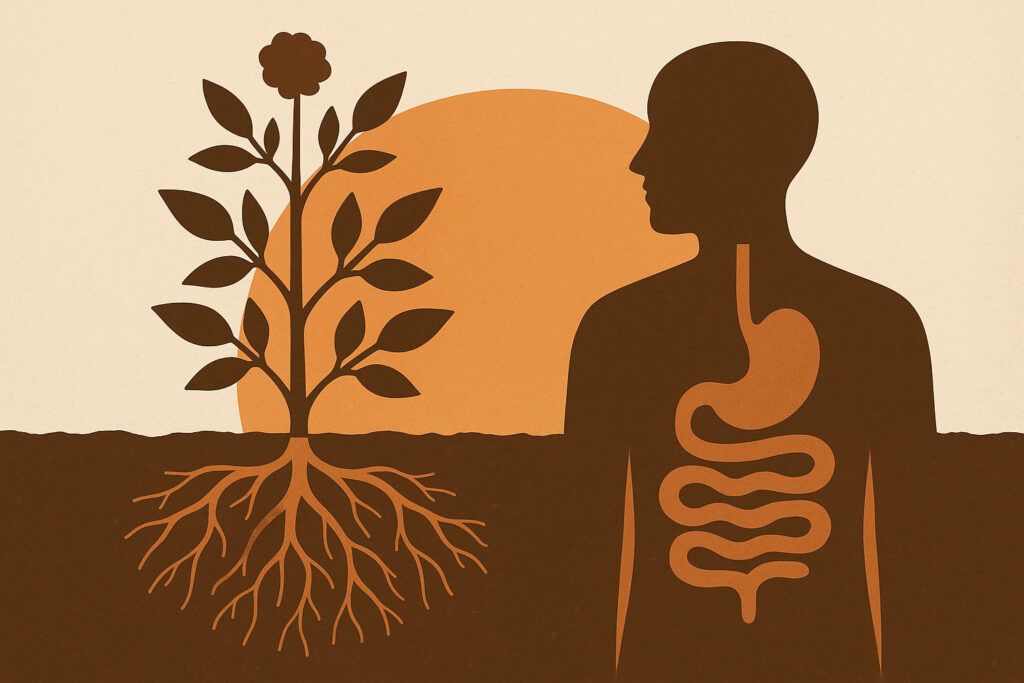 Soil Biome next to Gut Biome